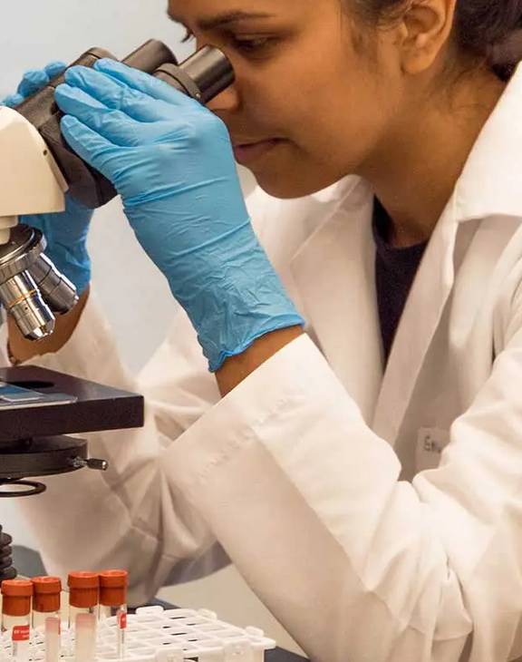 Microplastics: Research Needed, Underway