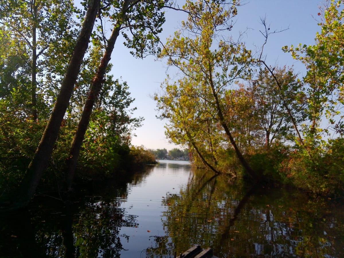 Primary Research: Additional