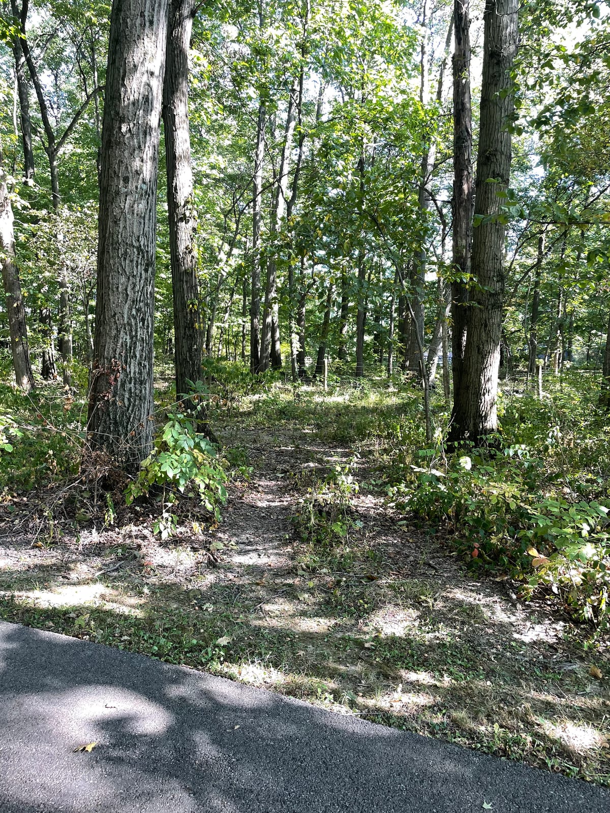 Glacier Ridge Metro Park