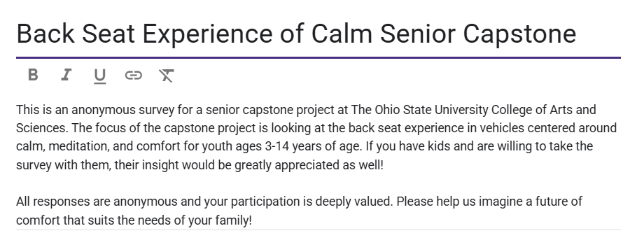 Youth Passengers' Back Seat Experience; Calm or Chaos