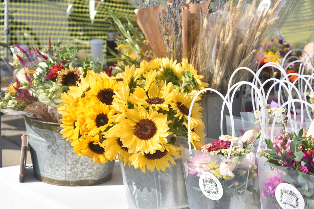 Reframing the Mind: Here and Now