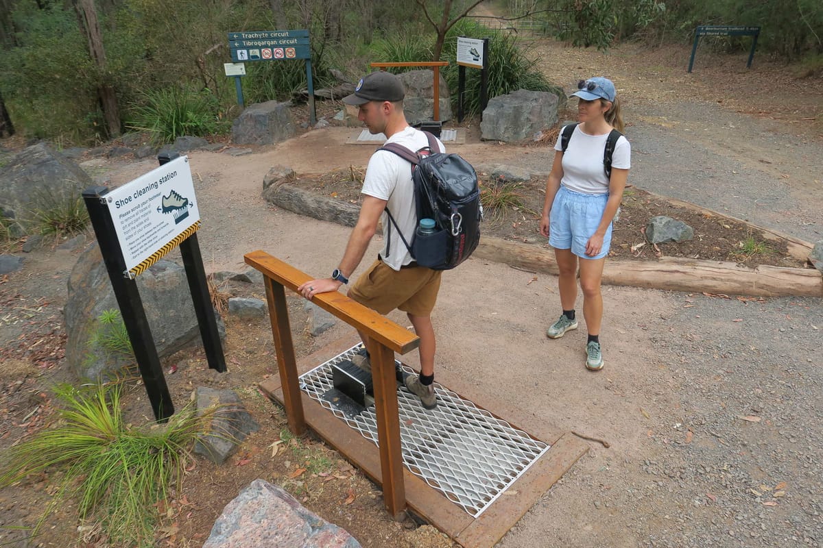 Shoe and Boot Cleaners