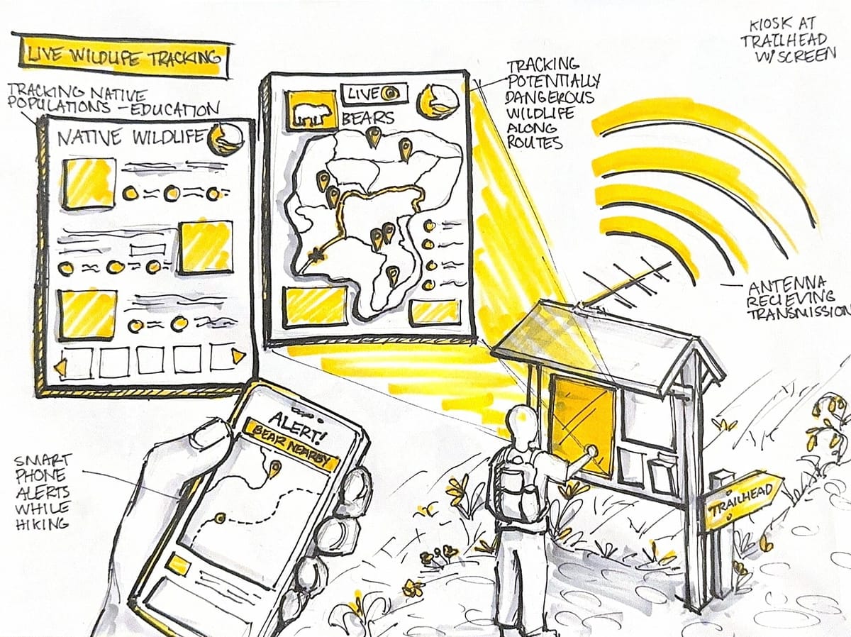 Live Conservation: Wildlife Tracking