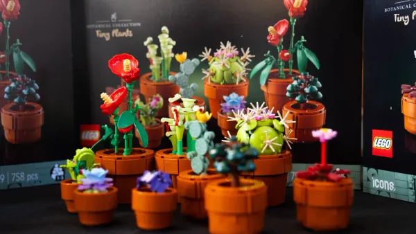 Lego hits record revenue in first half of 2025, boosted by brick flowers and cars