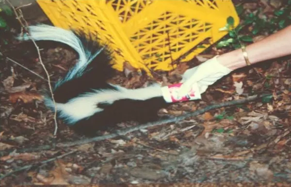 Yoplait Yogurt Cups Have Been Killing Small Animals For Years