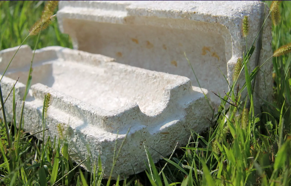 How mushrooms and microorganisms could transform food packaging
