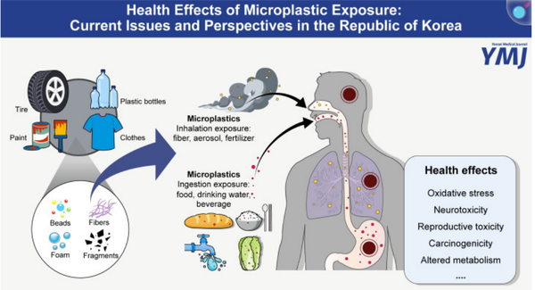 Health Effects of Microplastic Exposures: Current Issues and Perspectives in South Korea