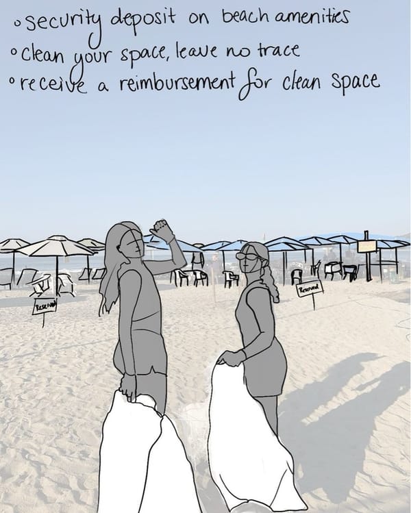 Leave No Trace: Beach Edition