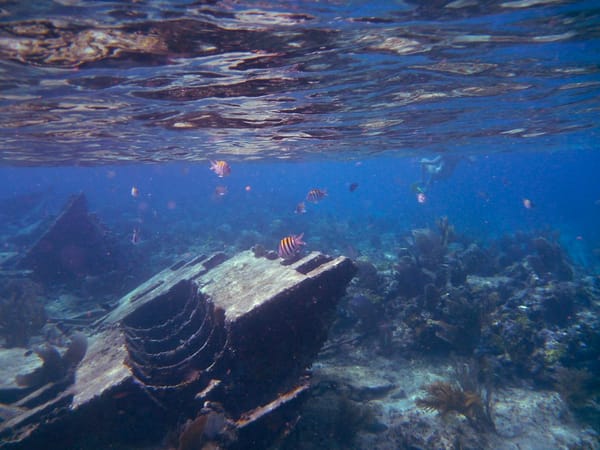 Industrial Products Repurposed as Habitats