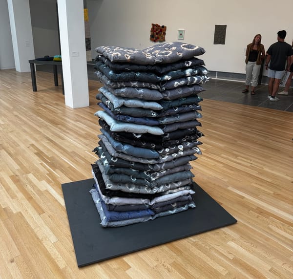 Veronica Ryan: The Surreality of Everything