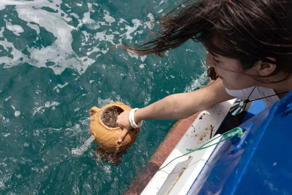 This Underwater Sculpture Garden Protects Italian Fishing Grounds