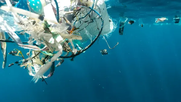 Biodegradable Bioplastic Designed to Tackle Deep Sea Plastic Pollution
