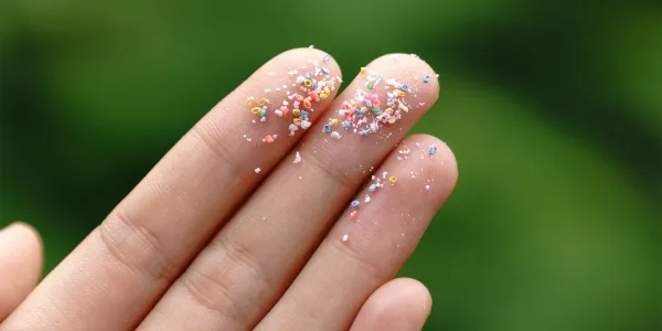 Microplastics Are Everywhere. Here’s How to Avoid Eating Them.