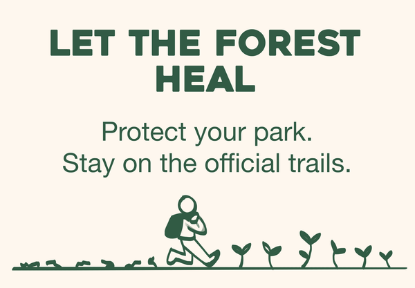 Conjecture: READ ME! Please