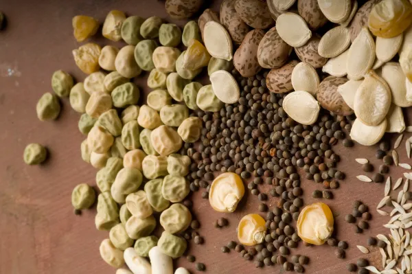 Indigenous Values and Circular Economies